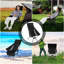 Folding Camping Chair