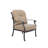Byrge Powder Coated Aluminum Outdoor Lounge Chair with Cushions
