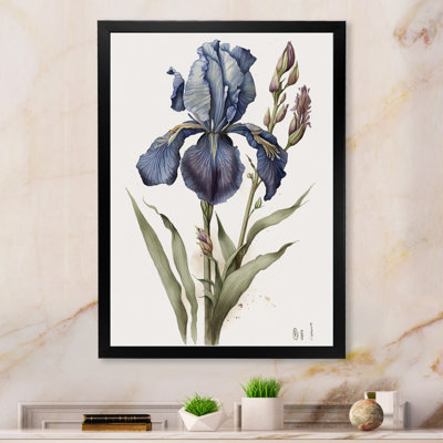 «Blue Iris Botanical Illustration I», reproduction sur toile