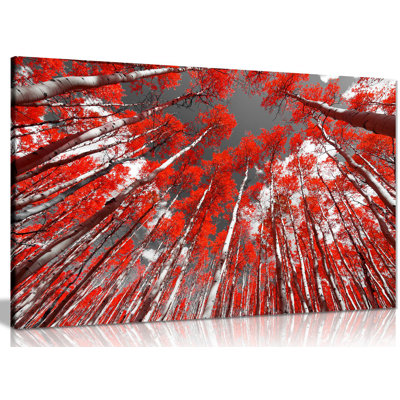 Wrapped Canvas Print