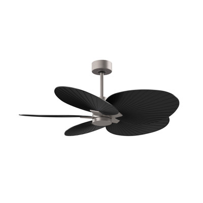 Alessandra - Five Blade Ceiling Fan