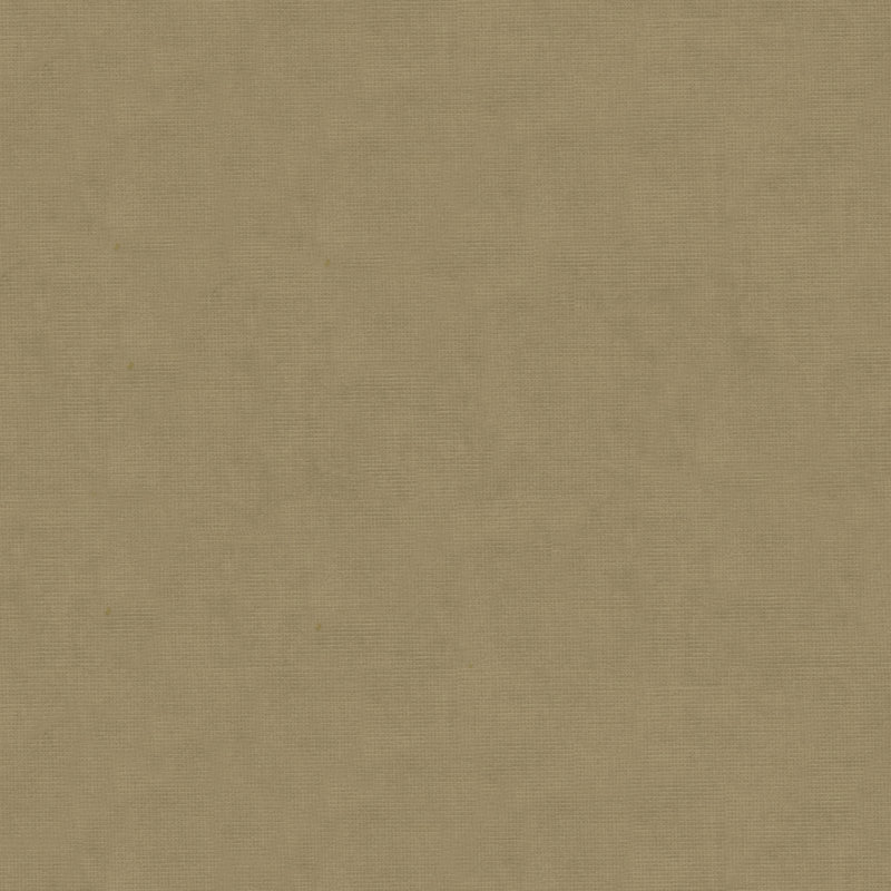Solid Velvet Fabric, Light Gray