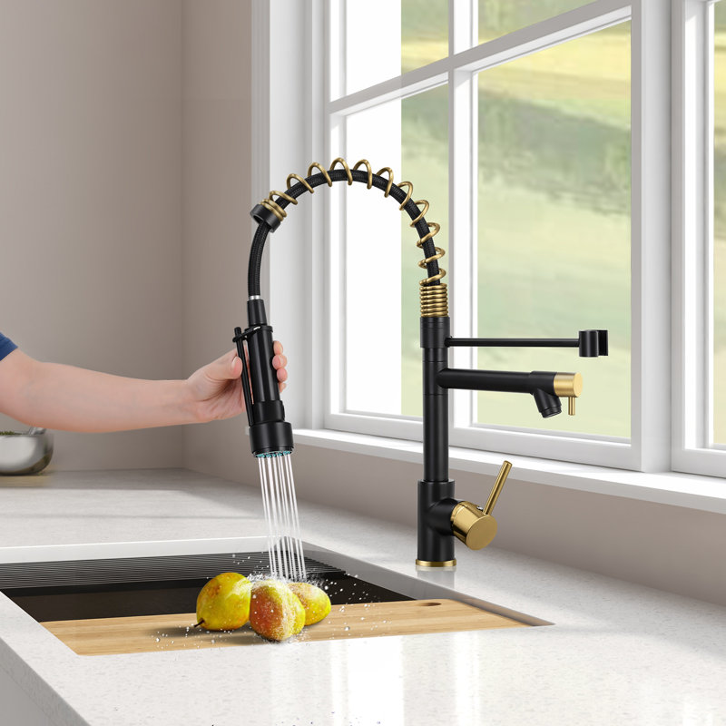 HGN 2 Spouts Kitchen Faucet  with Pull Out , Black/Gold