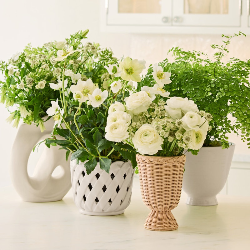 Aria Ceramic Planter