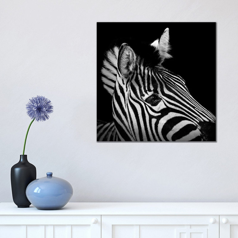 Zebra In Black And White II by Lukas Holas - Wrapped Canvas Print, 45.72 cm H x 45.72 cm W