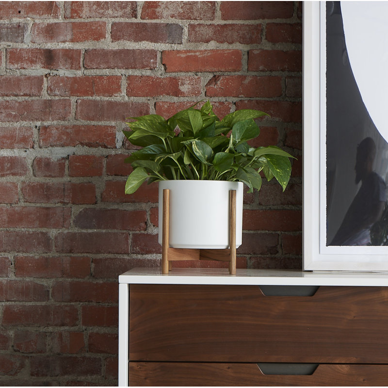 Riverside Handmade Ceramic Pot Planter, White/Teak, 8.7" H x 9.5" W x 9.5" D