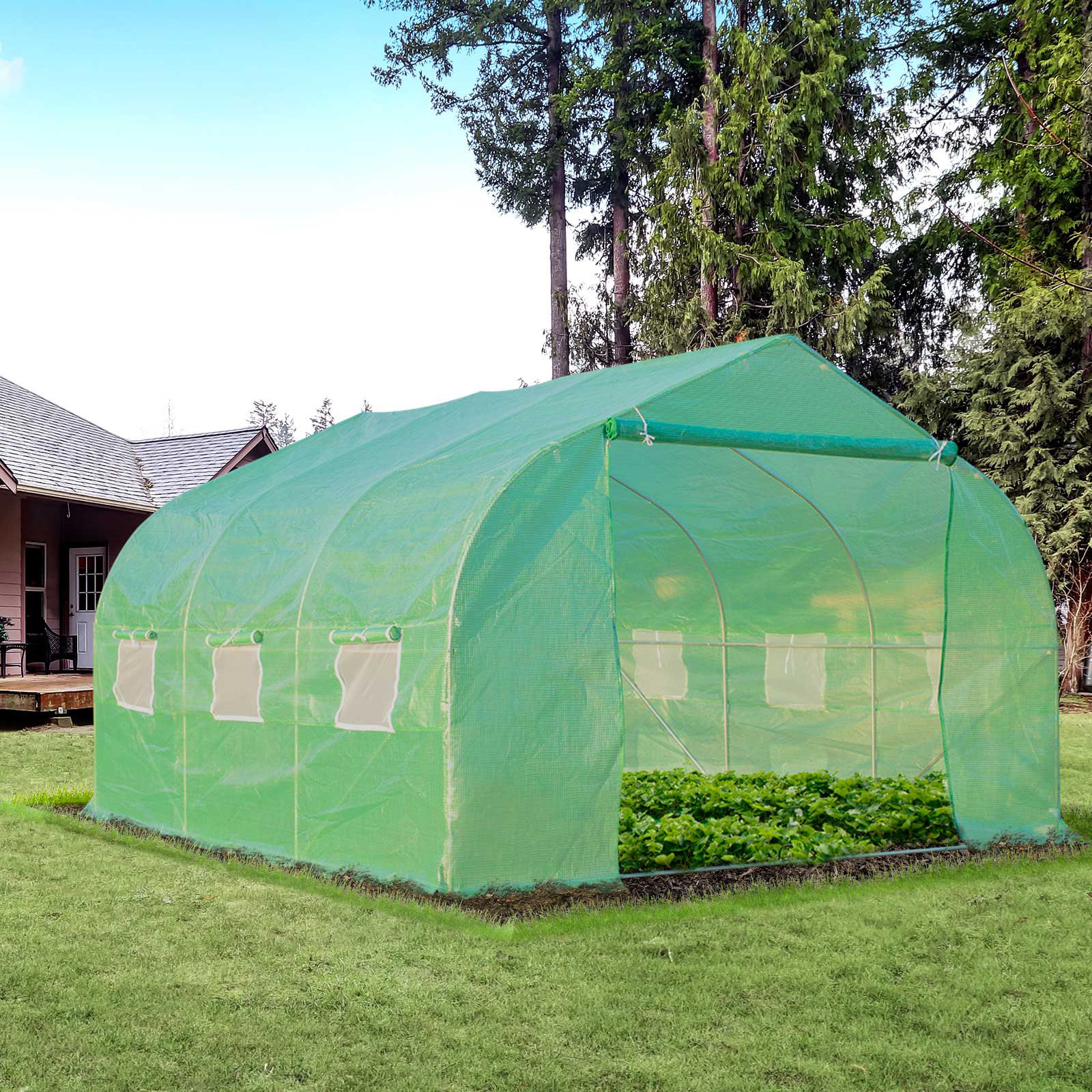 Greenhouse tent hotsell