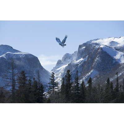 Bird Above Mountain - Wrapped Canvas Print