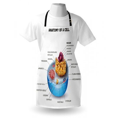 Bib Apron