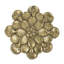 Plaque murale succulente D10X1,6 "