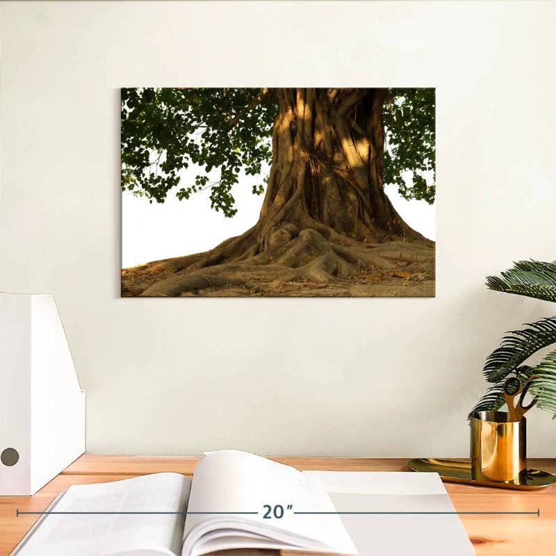 Harnek Bodhi Tree, 8" H x 12" W