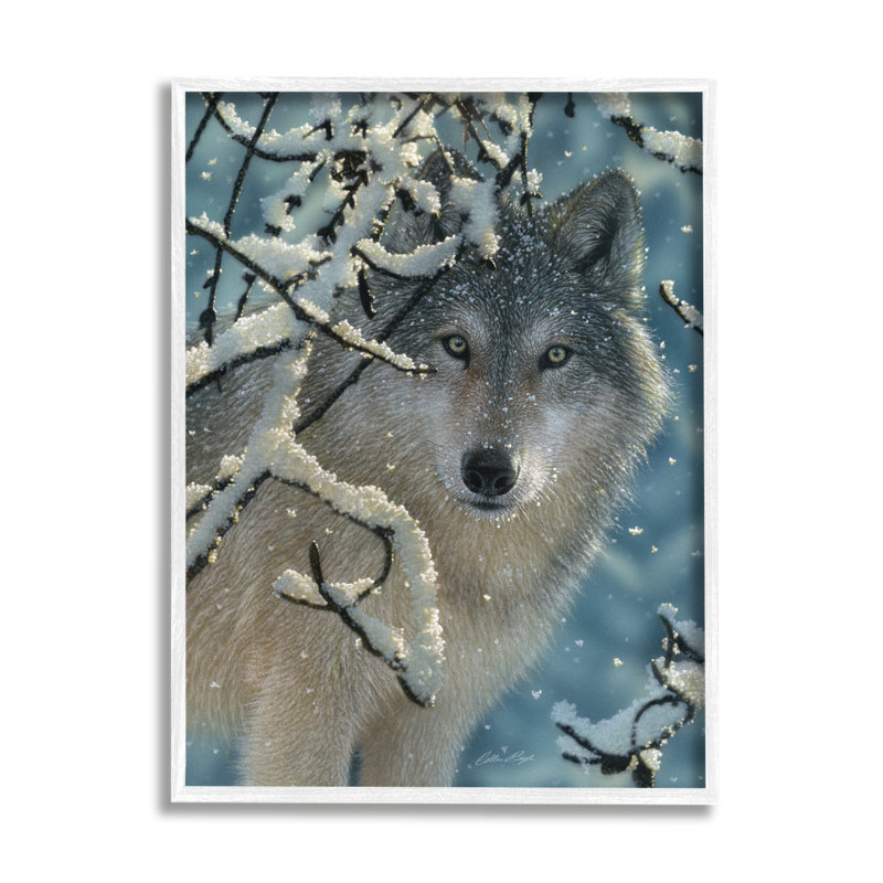 29_Loup derrière les branches enneigées, hiver, forêt sauvage, toile tendue par Collin Bogle, H 14 po x l 11 po