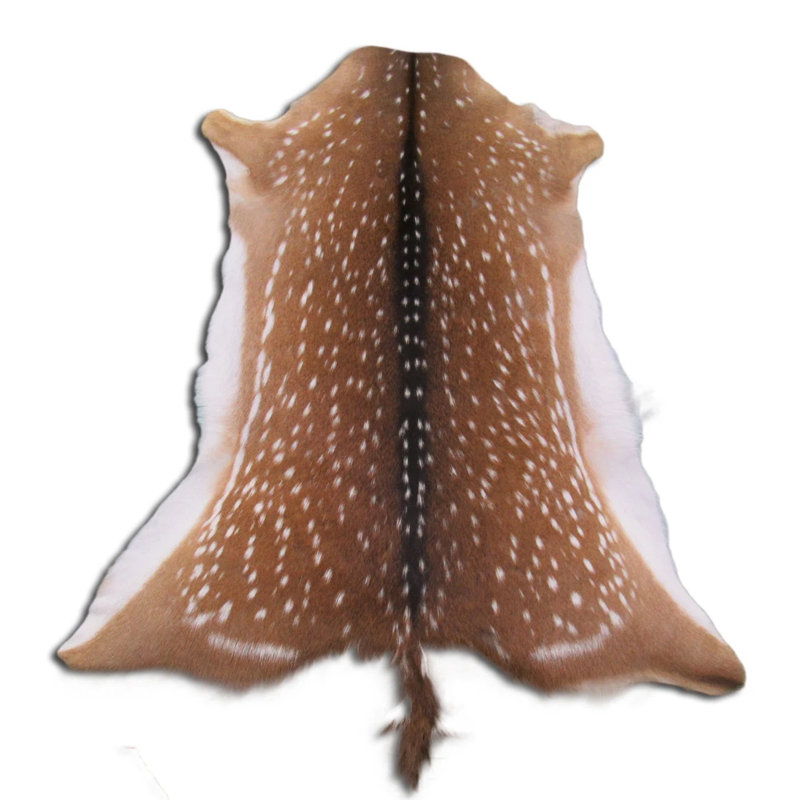 Real Axis Deer Skin (top grade)