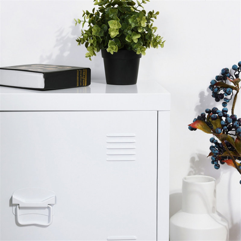 15.74'' Wide 2 - Shelf Storage Cabinet