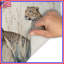 Tapis de bain Cheetahs-1003896865