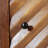 Wooden Cabinet