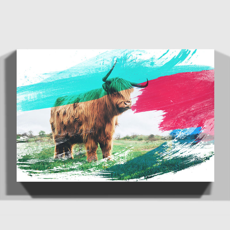 Highland Cow - Wrapped Canvas, 50cm H x 76cm W