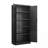 2-Door File Cabinet with Lock and 4 Adjustable Shelves-1117133119