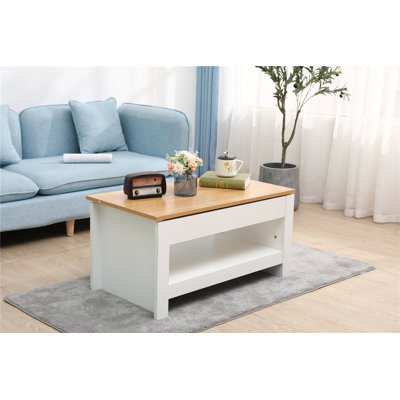 Gerli Sled Coffee Table with Storage
