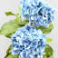 Double Hydrangea Faux Floral-1746310716