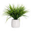 Plante à feuillage artificiel 6 po en pot