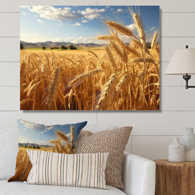 " French Golden Fields Of Britany I "