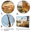 Kangaroo Bound Pastoral I - Animals Canvas Prints-879251879-958186527