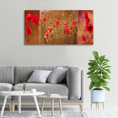 Maki Triptych - Wrapped Canvas Print