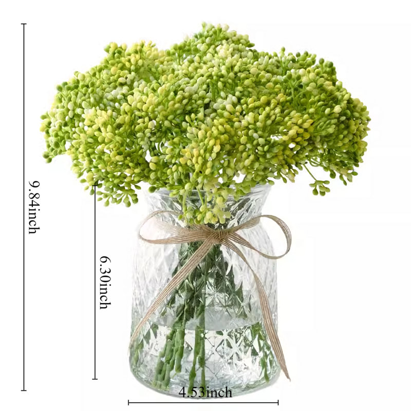 9,84 plante