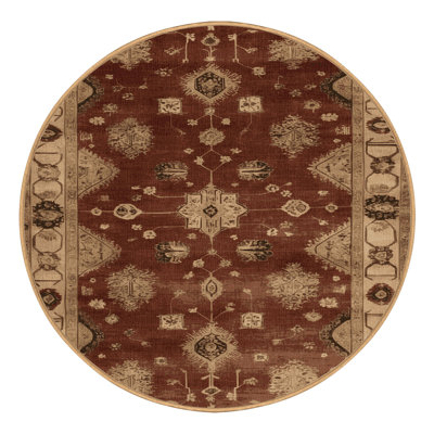 Machine Washable Overdyed Brown Area Rug