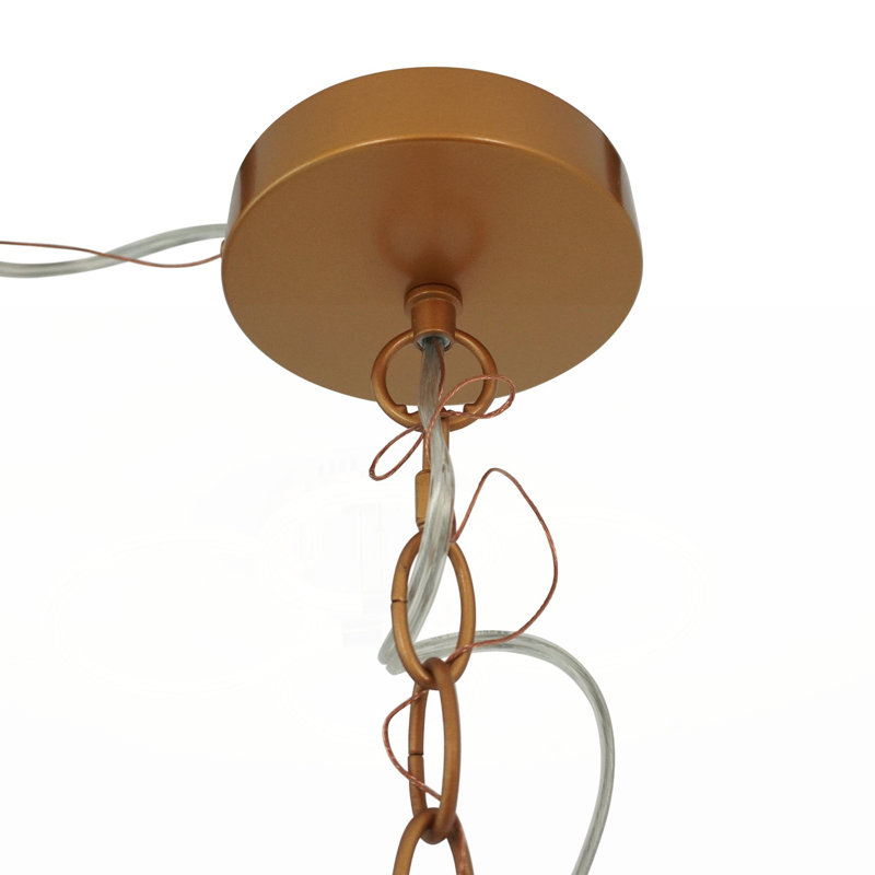 Luminaire suspendu exquis avec plusieurs lumières Delphi
