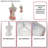 Dressmaker's Dummy