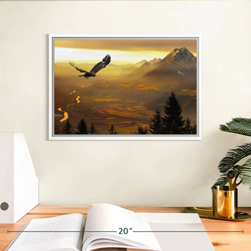 Aigle royal au coucher du soleil, Cadre flottant blanc, 13 po x 9 po