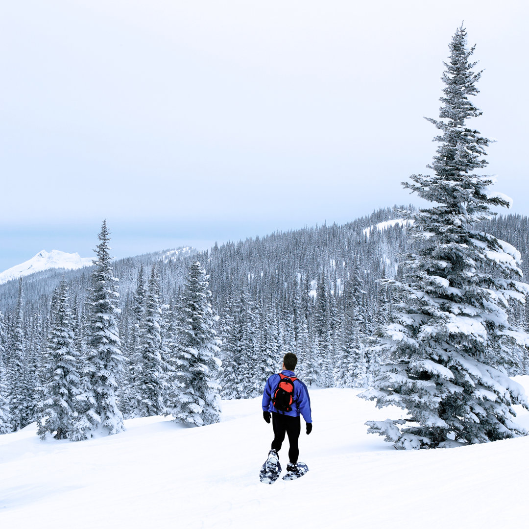 Mann Winterwandern von Sharply_done - Ohne Rahmen auf Leinwand drucken