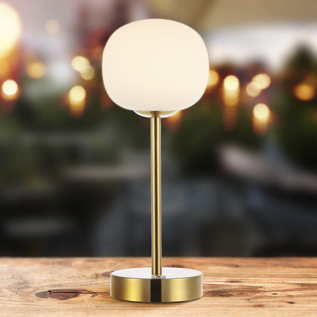 Metal Desk Lamp Everly Quinn Base