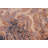 JeVon Wool Oriental Indoor Rug
