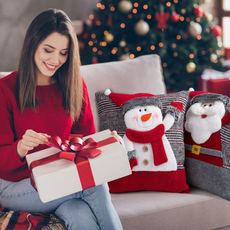 Braydon Microfiber Pillow Case