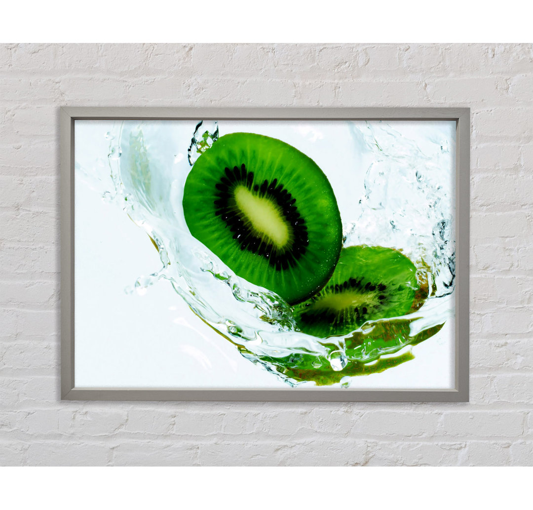 Kiwi Splash - Druck