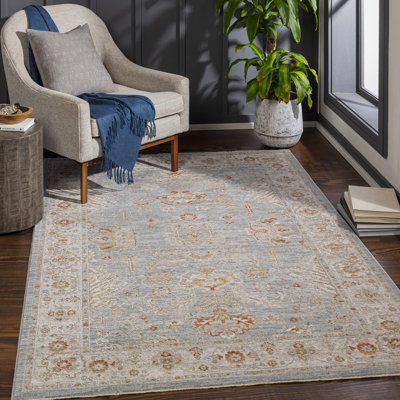 Finnlagh Oriental Indoor Rug