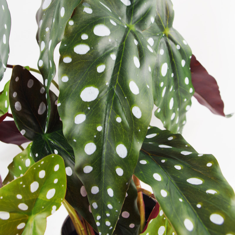 Ananias 40cm Faux Foliage Plant in Pot
