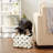 Pet Storage Collection Paw And Bone Prin, Small Rectangle-1907962693-1907962690
