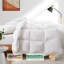 Édredon 100% coton duvet d'oie européen-89754961