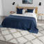 Indigo Shag Thickened Cream-1883490409