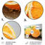 Ensemble de 5 décorations murales 5 fruits orange en pointillisme II