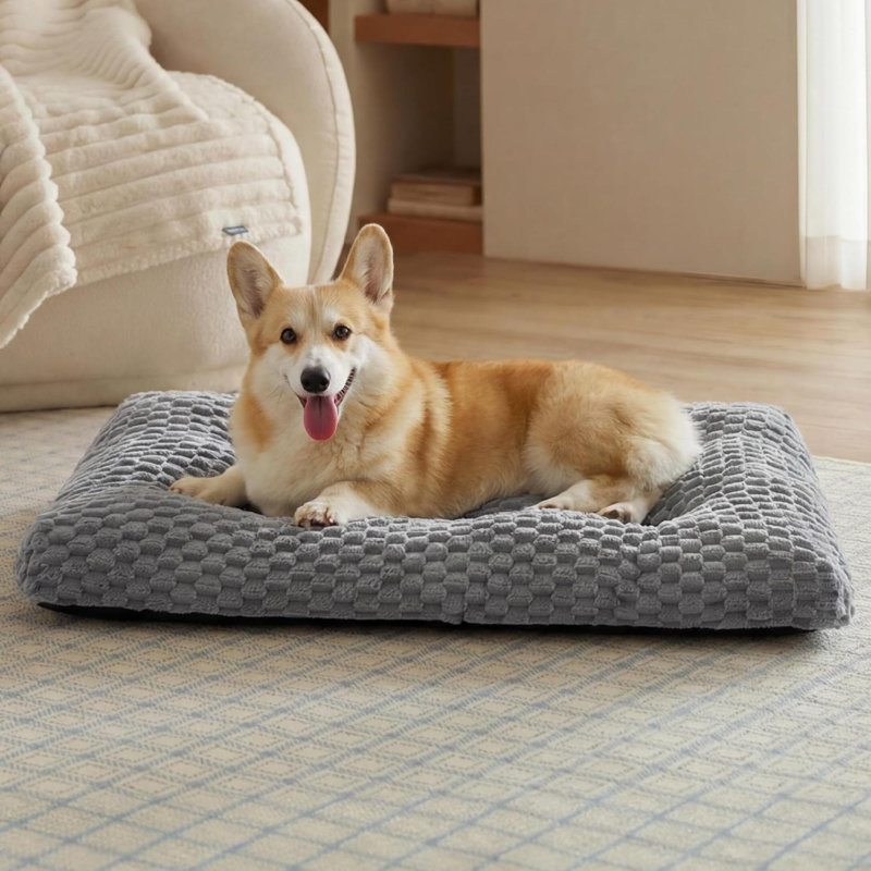 Pet Bed