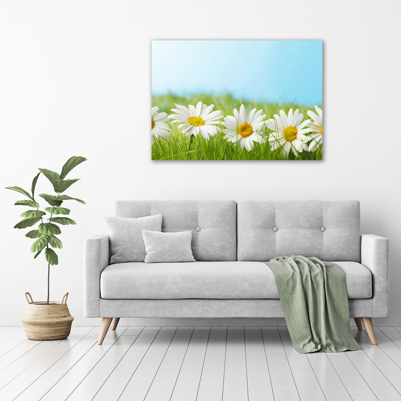 Daisies - No Frame Print on Canvas
