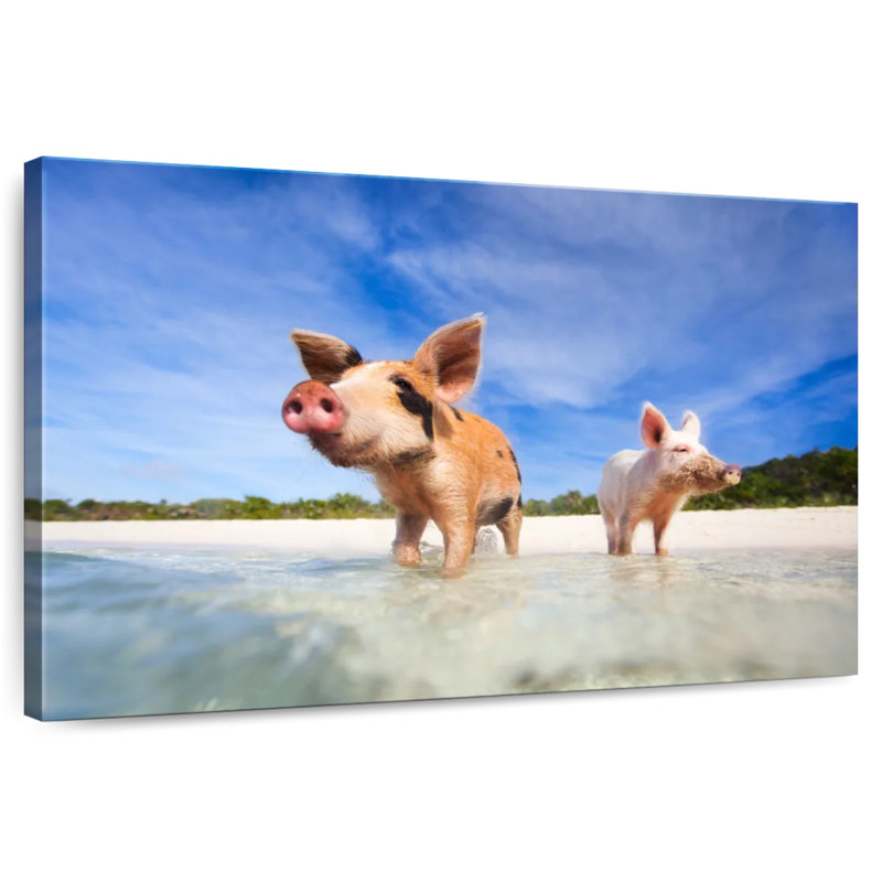 Crowle Pigs On Exumas Islands, 24" H x 36" W