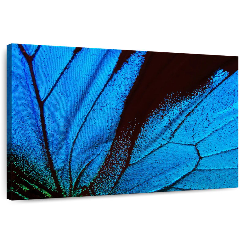 Ailes de papillon azur Brampt, H 8 po x l 12 po