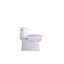 Toilette monobloc 1,28 GPF Tornado Flush