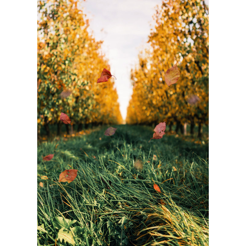 Autumn Field - Wrapped Canvas Print, 76cm H x 51cm W